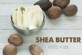 Shea Butter- Whipped Shea n' Grow - Hair growth Stimulator - Afrocentric Boutique
